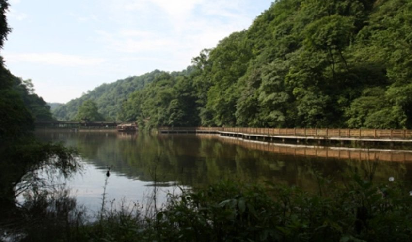 qingcheng mountain