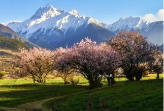 Tibet Tour