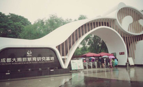 Chengdu Giant Panda Base
