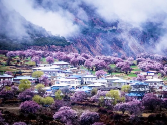 Tibet Tour 3