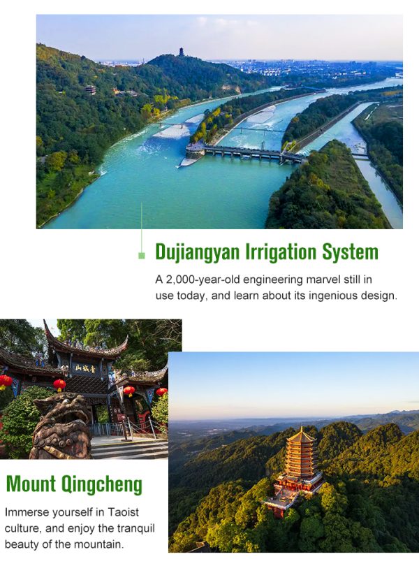 Chengdu 5 day travel