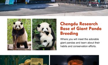 chengdu tour