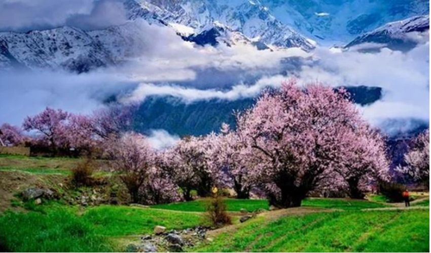 Tibet 1