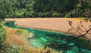 Jiuzhaigou Independent Travel Budget Guide: 500–1000 RMB per Person