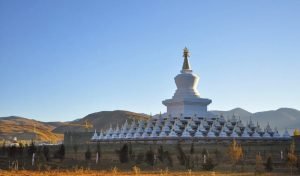 Sheton Festival Deep-Culture Journey: Buddha Unveiling, Tibetan Opera & Yogurt Feast in Lhasa