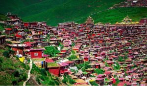 Tibetan Kora Culture Experience: Barkhor Street + Yamdrok Lake — A Journey of Faith and Culture